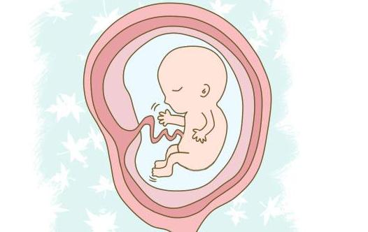 孕妈在睡觉的时候胎儿在干什么,孕妇睡觉胎儿也会睡觉吗