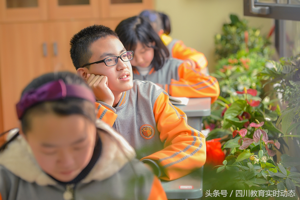武侯外国语学校小学招生,成都武侯外国语学校新校区