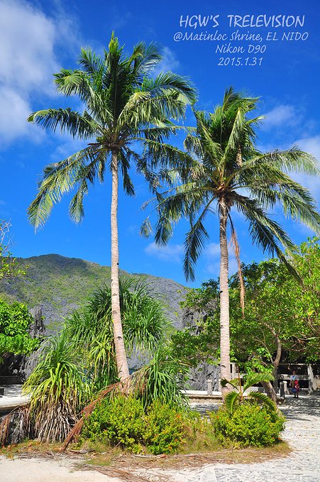 阳光，假日，海滩，带你深度游巴拉望上