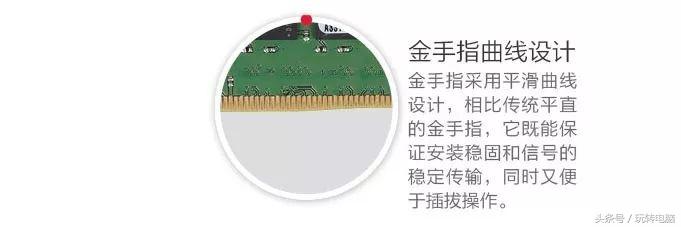 铅锤哥：一篇文章了解内存