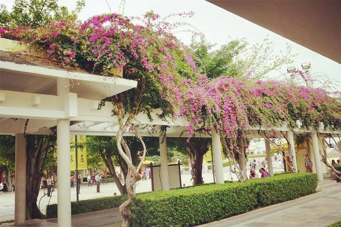 预支一段未来的旅行,带着父母去度假——三亚