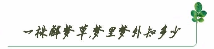 解梦日报1022：土豪砸一个亿求婚女主播，双十一狂欢新惊喜