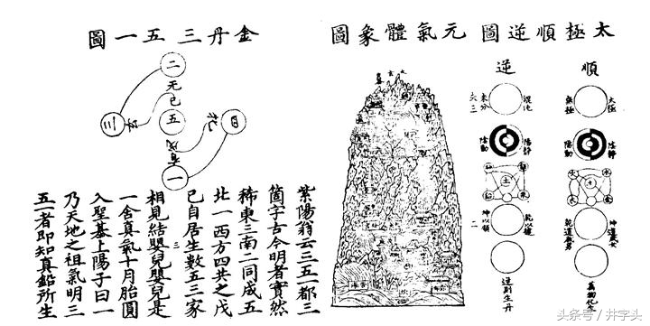 上阳子金丹大要全文,丹道秘传丹法二十四诀
