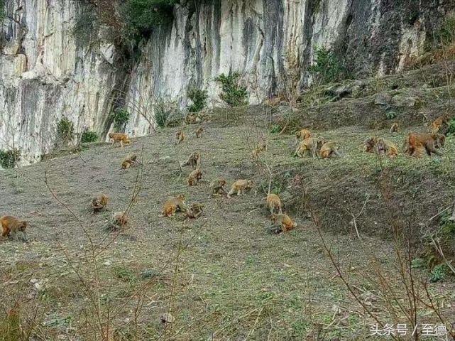 泸州深山老林景区,隐藏的世外桃源山中奇观