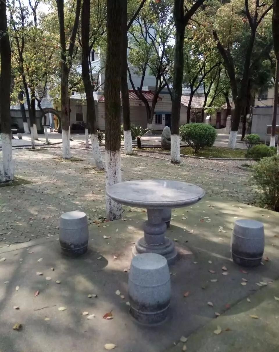 匆匆那年怀念学校,匆匆那年校园回忆