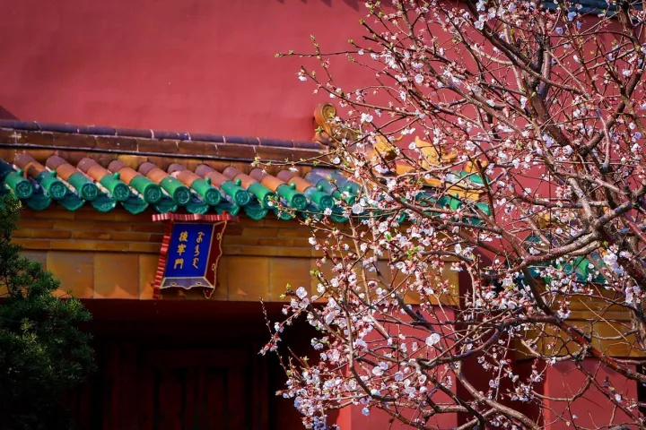 鍦ㄦ矆闃抽亣瑙佷綘鏄垜鐨勭紭,鍦ㄦ矆闃抽亣瑙佺浉鐖变竴杈堝瓙鐨勪汉