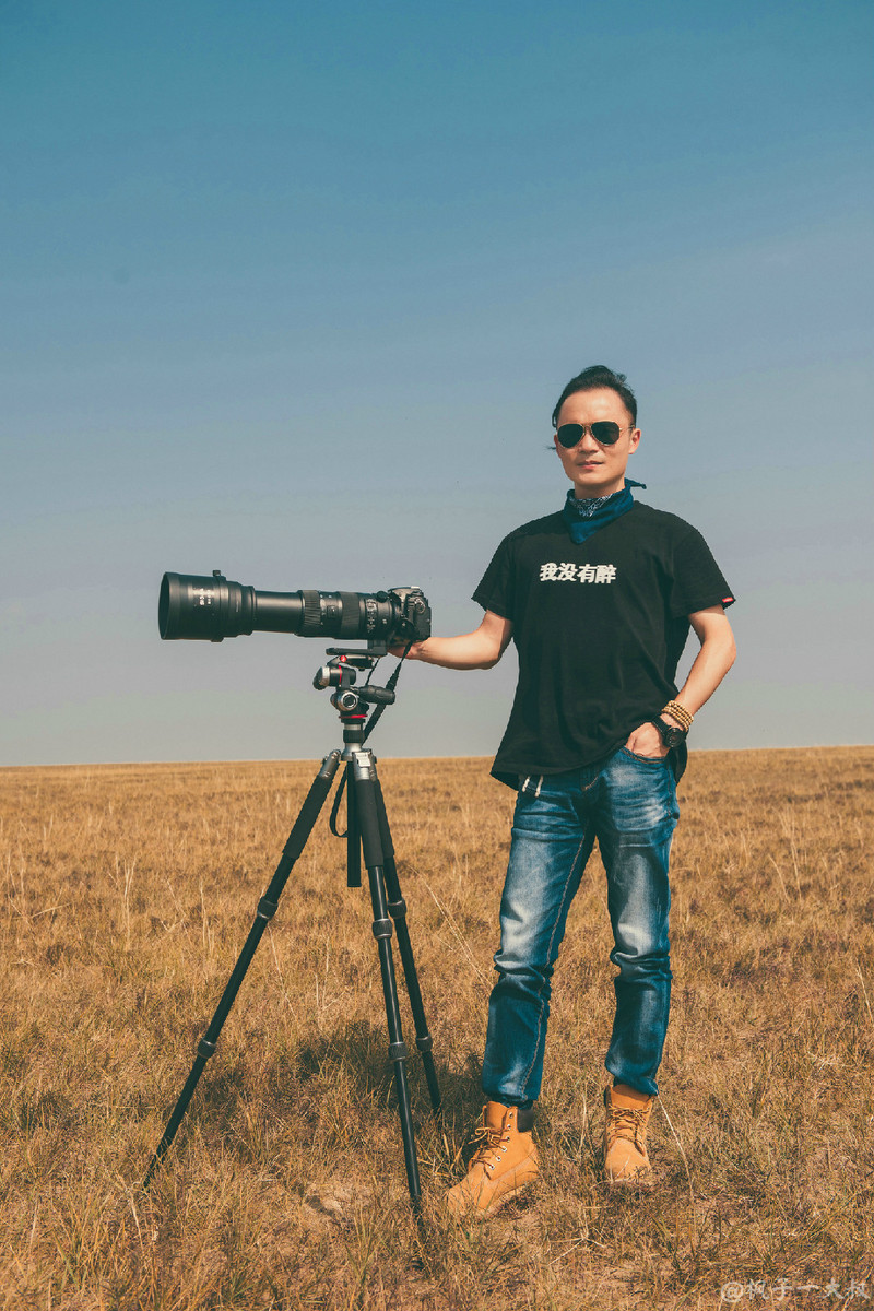 草原金秋美景图片,蓝天白云大草原的美图