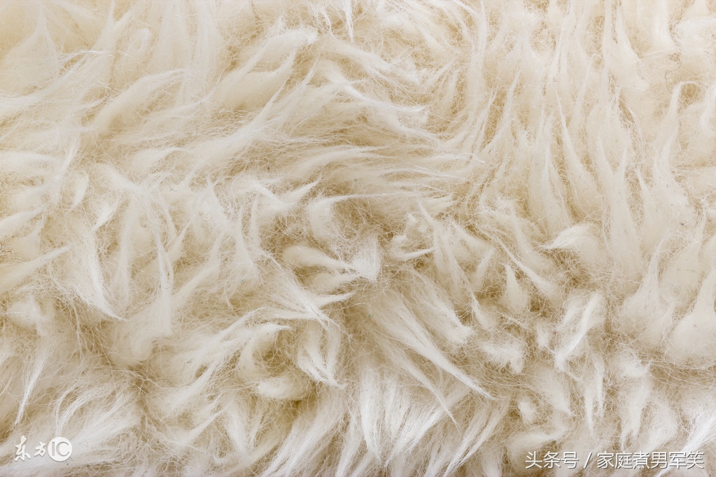 棉花被蚕丝被羊毛被羽绒被哪个好,羊毛被棉花被和蚕丝被哪个好