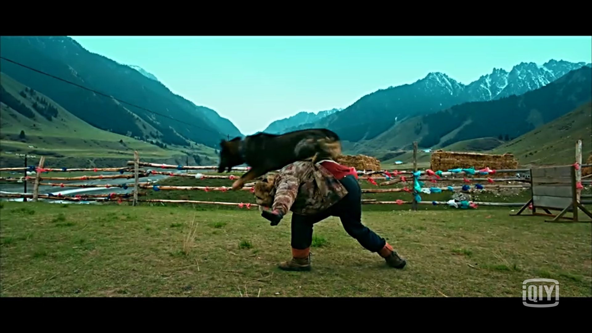 血狼犬黄宏完整版,血狼犬黄宏回忆往事泪流满面