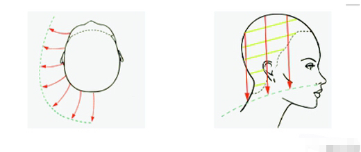 听说看了这美发沙宣理论，进理发店再也不用怕被坑了……