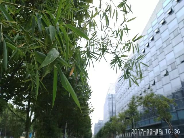 360手机和华为畅玩7x哪个更好,荣耀畅玩7x像素多少合适