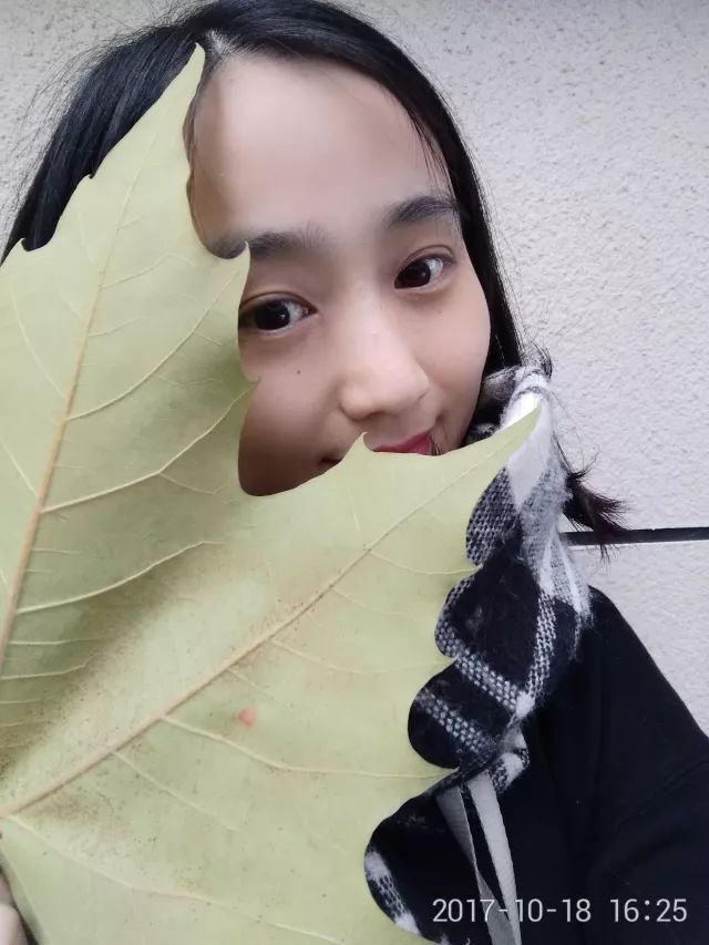 360手机和华为畅玩7x哪个更好,荣耀畅玩7x像素多少合适