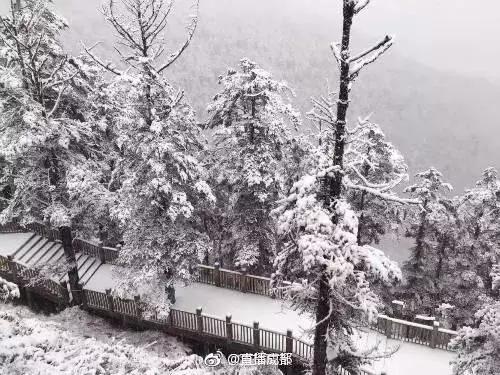 美雪哭了视频完整版,冬天的西岭雪山风景