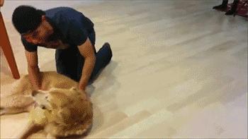 张学友办了几场演唱会,淮安张学友演唱会