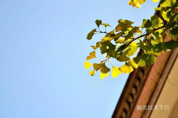 最美高校合集,最美211云大