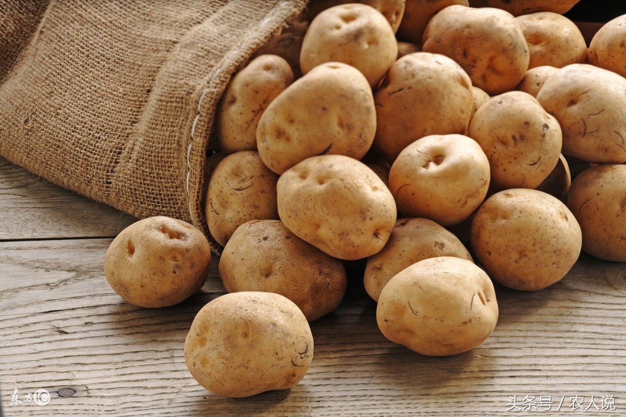 17年10月26日全国土豆马铃薯批发价格
