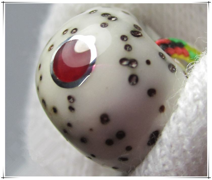 文玩菩提根手串盘玩保养,文玩菩提怎么保养