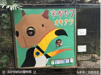 日本冲绳亲子游自由行攻略,冲绳亲子游视频