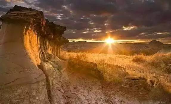 想不想跟着小李子体验“荒野猎人”一日游？