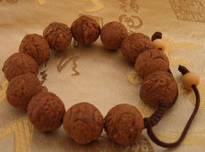 比较大的菩提,你认识多少种野果