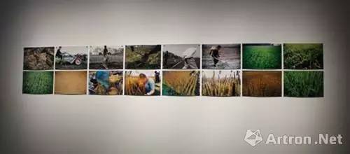 雅昌画廊影响力排行榜,雅昌展会