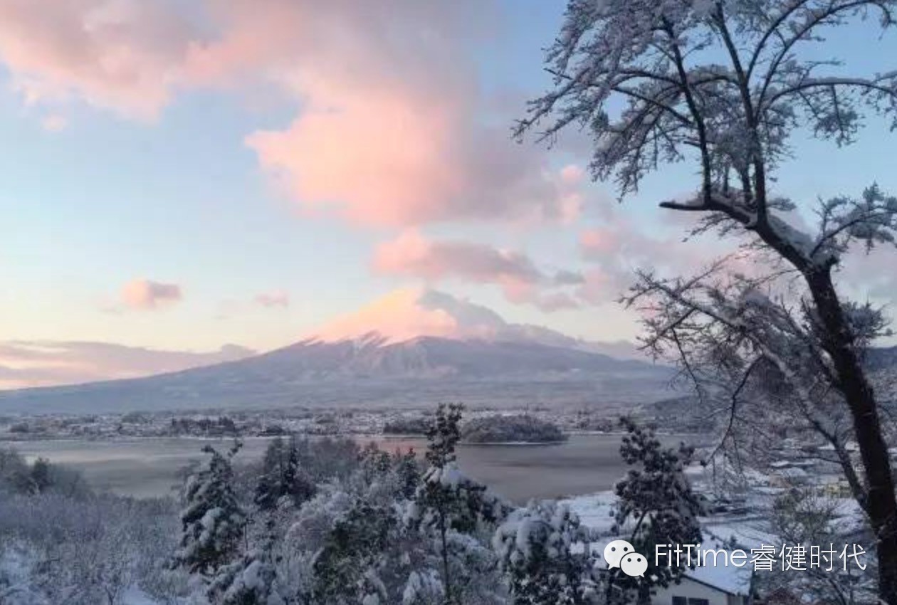 马拉松名古屋,名古屋马拉松完赛