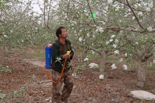 农村创业机会,农村电商创业机会有哪些