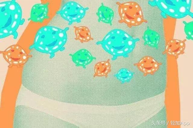 乳酸菌饮料可以减脂,开胃乳酸菌饮品