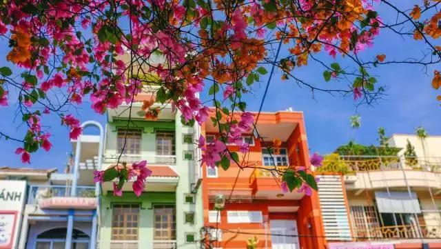 骨灰级海岛自由行签证,骨灰级干货史上最全海岛签证汇总