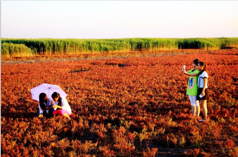 滨州本地春季最值得去的十个景点,滨州秋景最佳地方