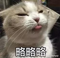 乳酸菌饮料可以减脂,开胃乳酸菌饮品