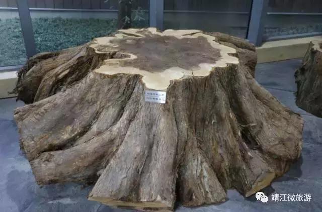 微靖江是哪个城市,江苏泰州靖江牧城公园四周风景好