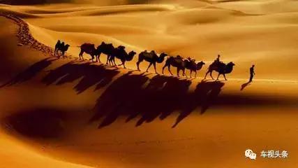 鏁︾厡璇曢┚2019,鏁︾厡璇曢┚