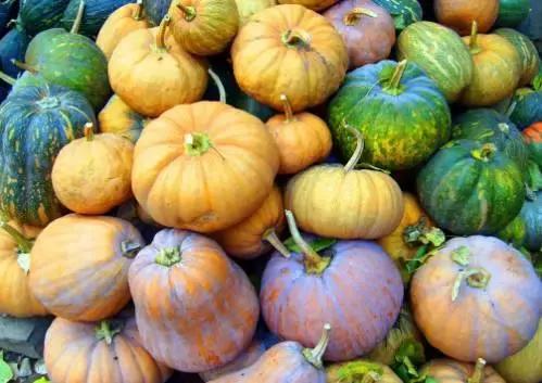 救国家于危难救民族于存亡的人,救人民于水火助人民于危难