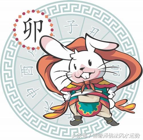 十二生肖11月份财运运势早知道,十二生肖十一月运势详解