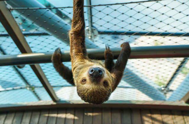 在迪拜不能做的五件事,迪拜护肤品购物清单