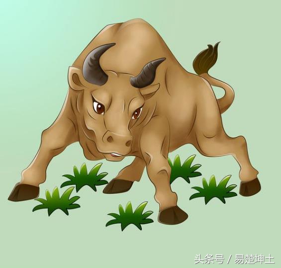 10月26日生肖牛运势,10月10日生肖牛运势