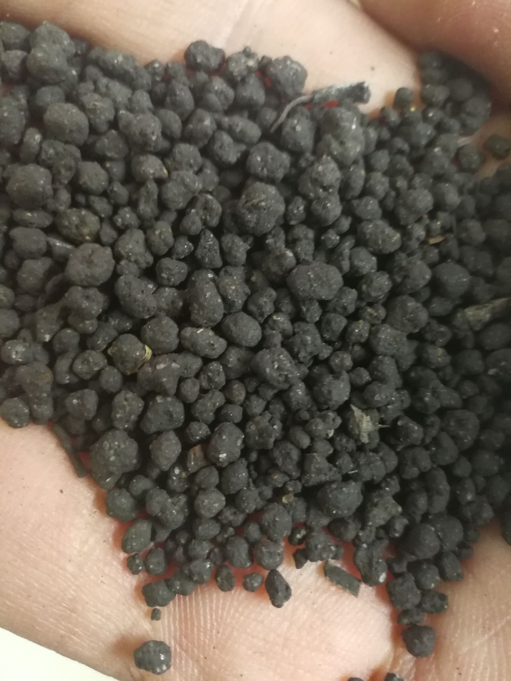 大墙鱼缸,40公分的缸养40的龙鱼