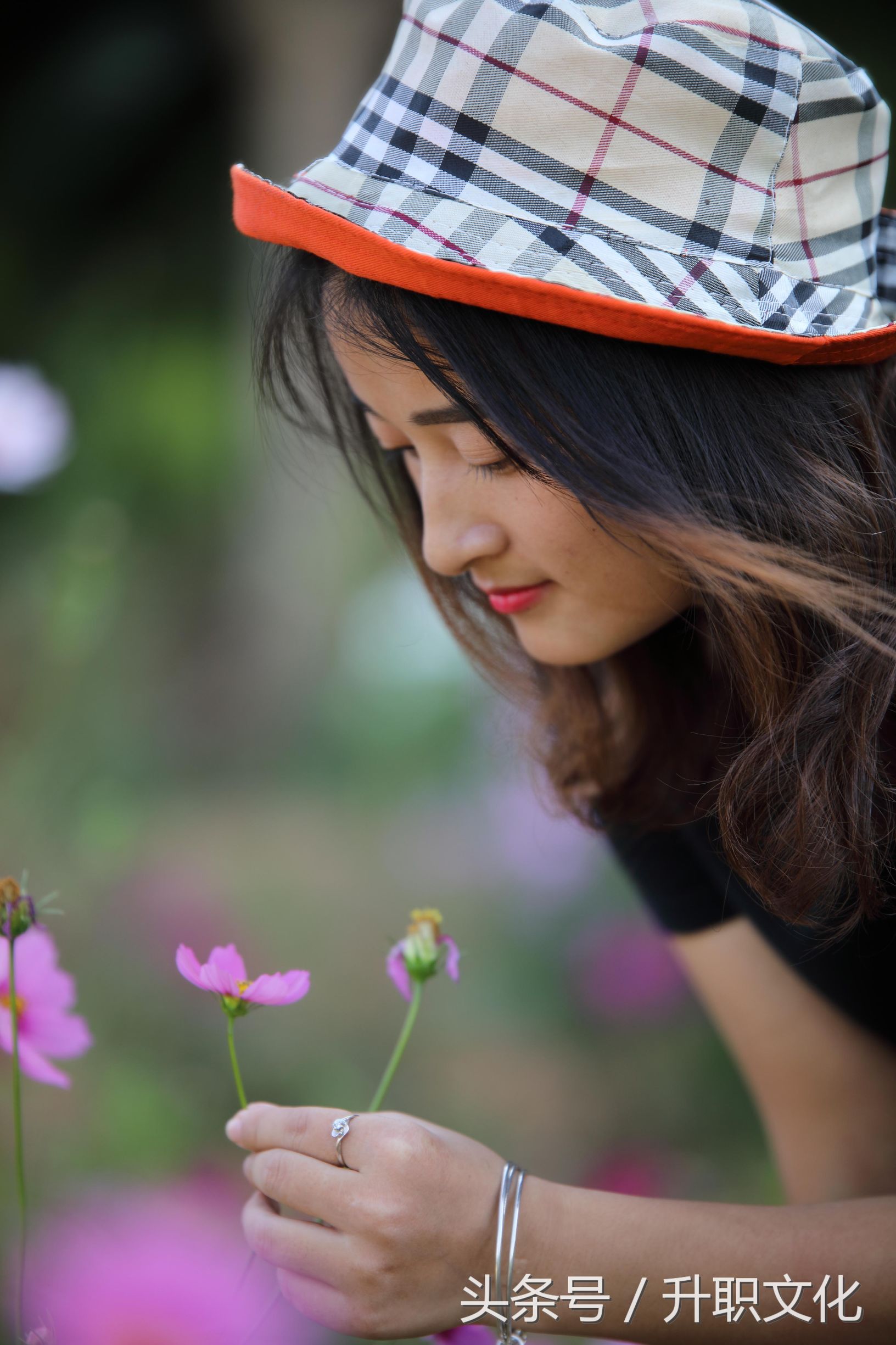 深圳社区妇联外出活动,深圳妇联活动
