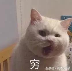 还在为双十一发愁吗话术,还在为买化妆品发愁吗