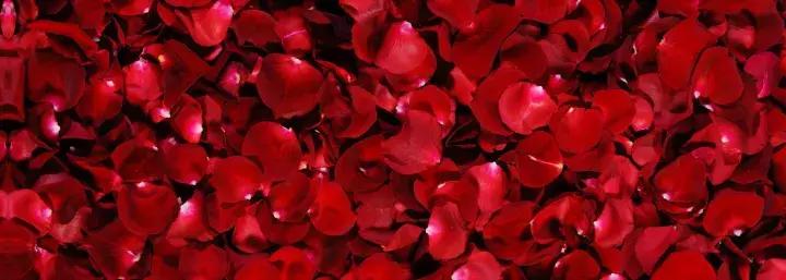 散发女性魅力的护理产品,玫瑰香味护肤品