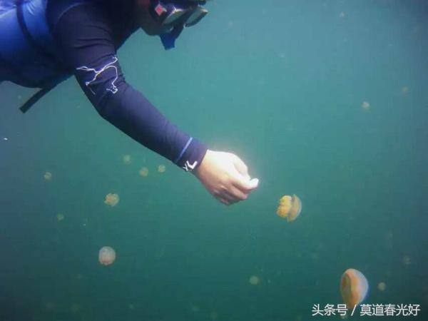 亚洲对中国免签证国家有哪些,中国护照去亚洲哪几个国家免签证