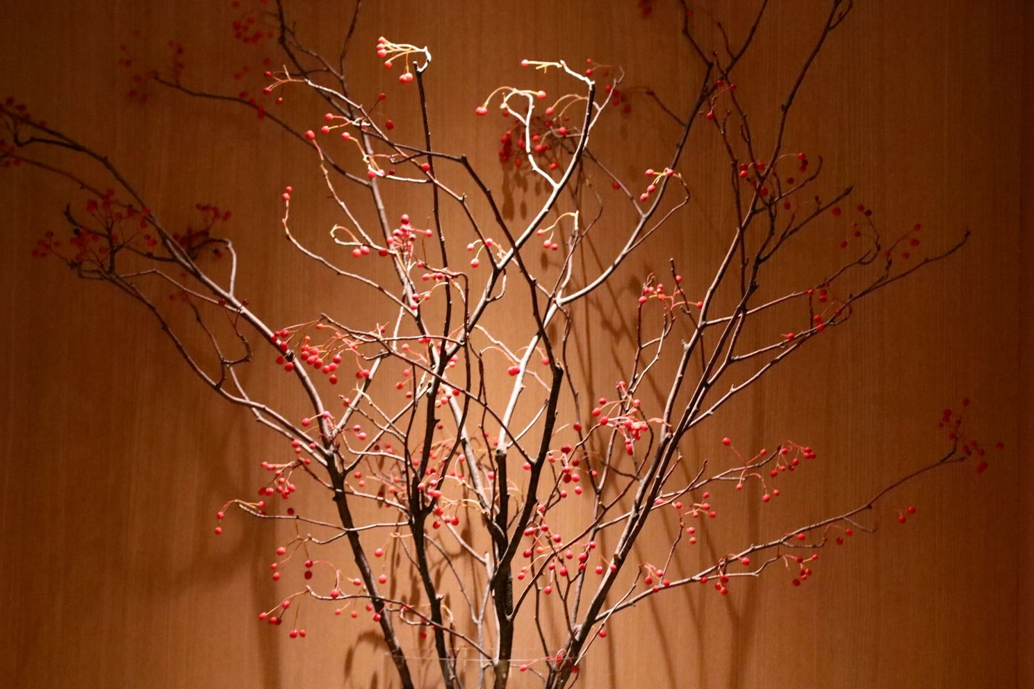 米其林三星大餐,韩国米其林三星