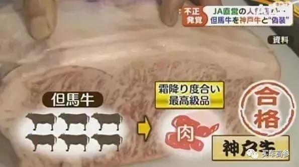 所有国家的大楼倒塌事件排名,日本著名建筑遭到破坏