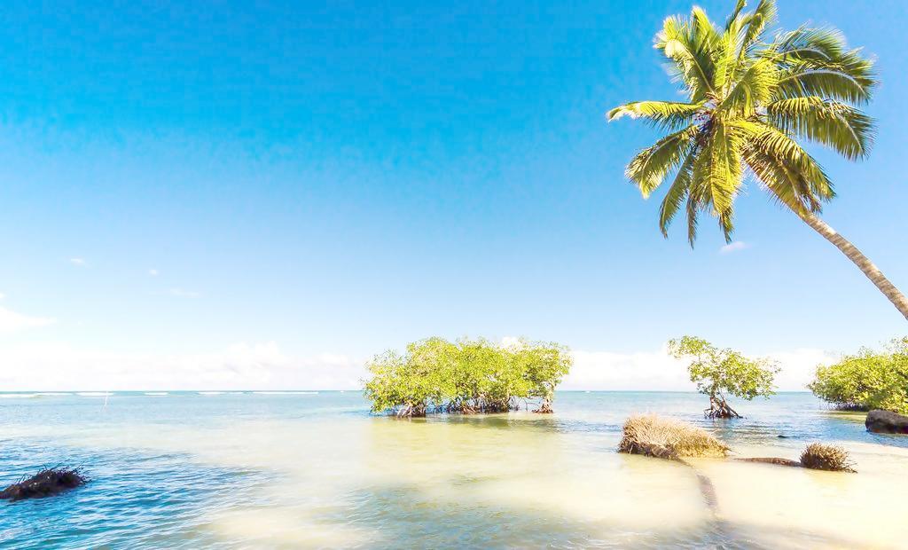 拿破仑娇兰,娇兰拿破仑香水