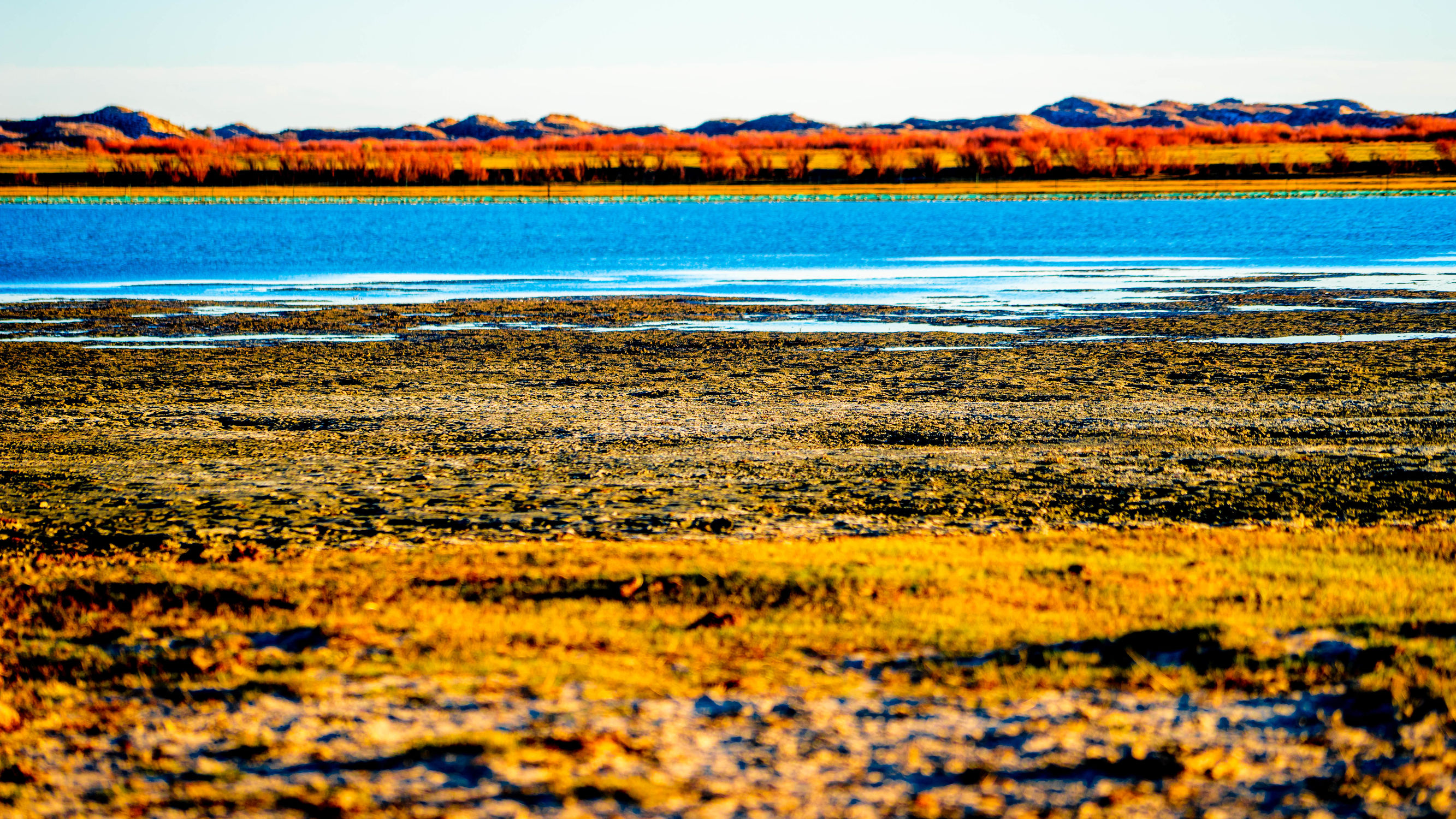 正蓝旗锡林郭勒大草原,正镶白旗天鹅湖