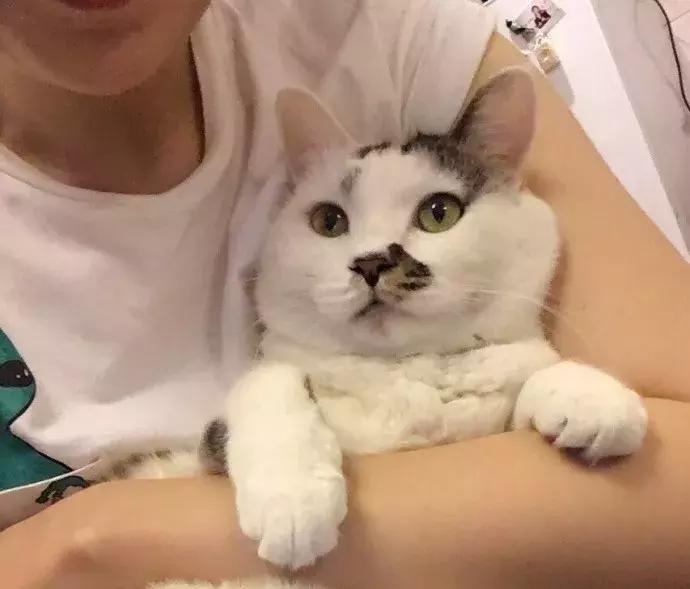 永恒时尚通关秘籍，其实也是双11的省钱技巧：让光芒照耀在日常