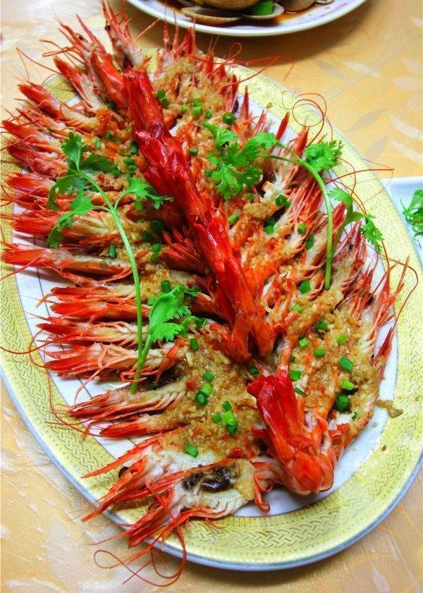 带上兜兜去旅游,带着小嘟嘟去旅游