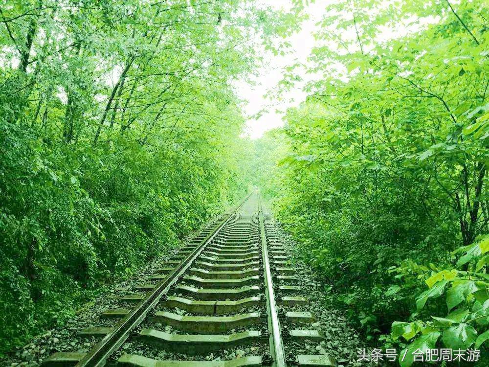 2022浜斾竴鍚堣偉鍏嶈垂鏅尯,鍚堣偉鍏嶈垂鐜╂櫙鍖哄叏鍚嶅崟