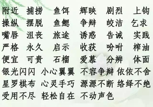 媛媛妈教语文五年级第五单元,媛媛妈人教版语文五年级下册